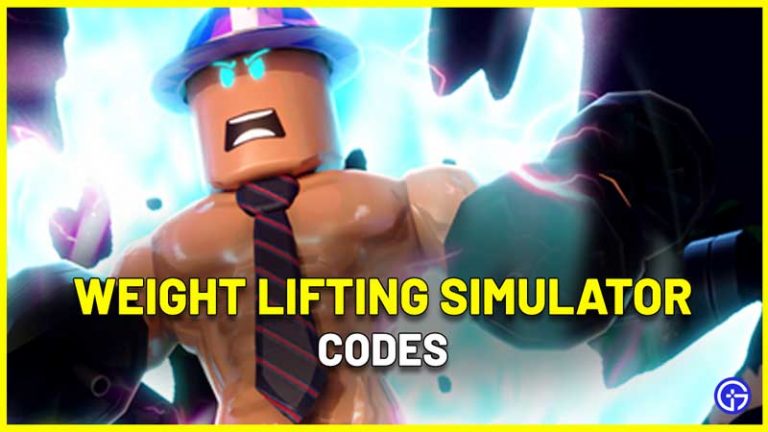 Weight Lifting Simulator Codes