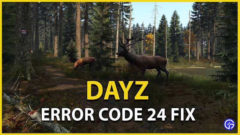 dayz error code 24 fix