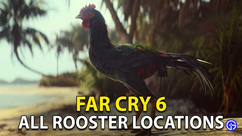 Far Cry 6 Rooster Locations: How To Find All Hidden Roosters In Yara?