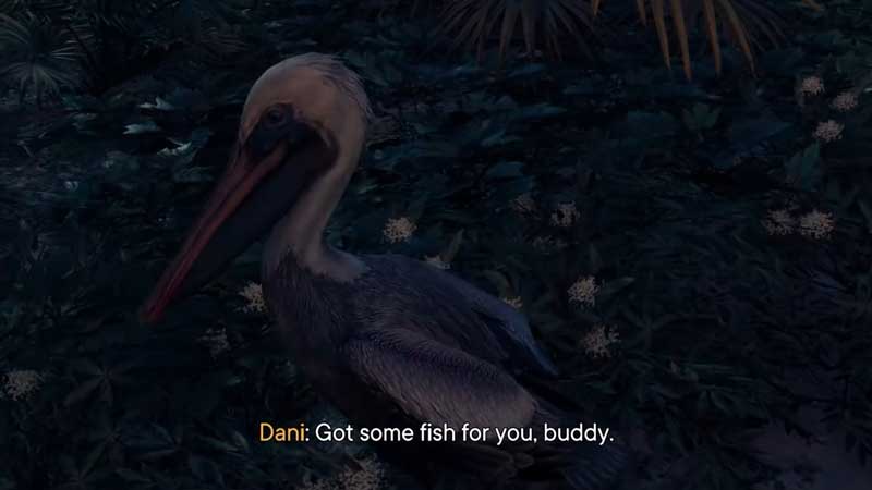 feed-pelicans-far-cry-6