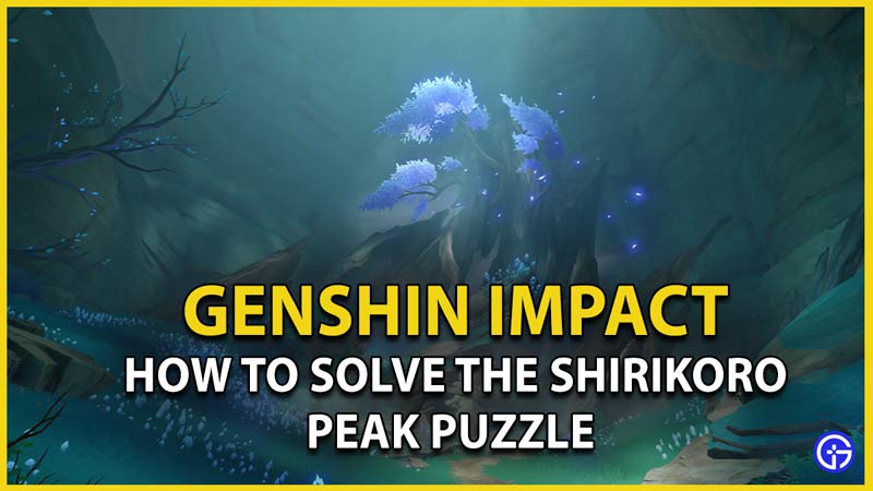 genshin impact shirikoro peak puzzle challenge