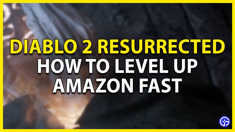 how to level up amazon fast d2r
