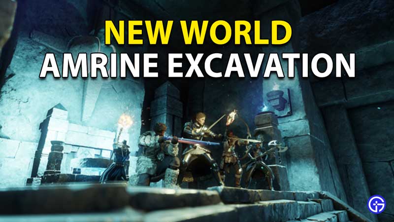 New World Amrine Excavation: How To Take Part In Expedition?