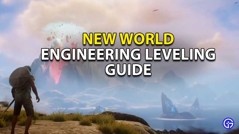 new world engineering leveling guide