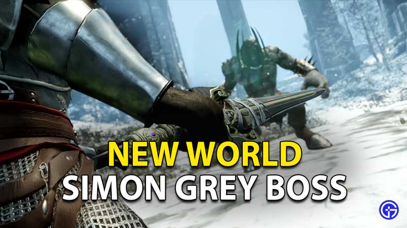 New World Simon Grey Amrine Excavation Expedition Boss Fight