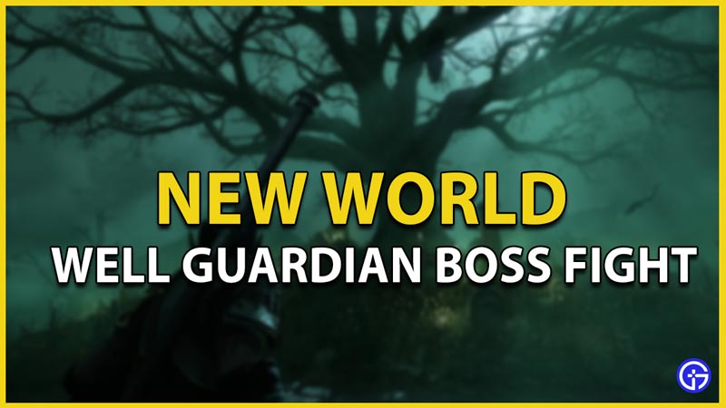 new world well guardian boss fight