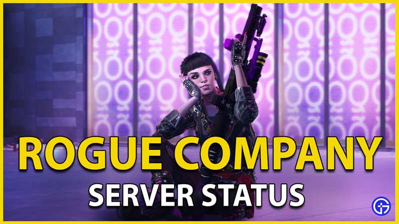 rogue company server status