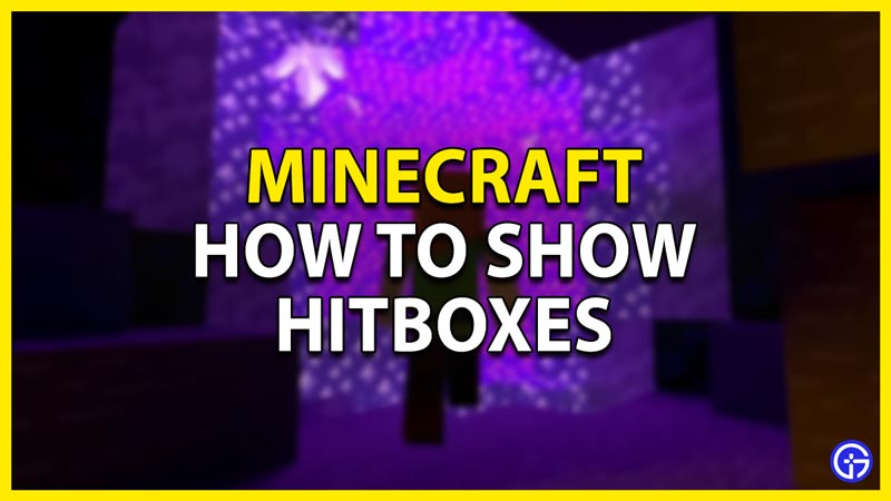 show hitbox minecraft