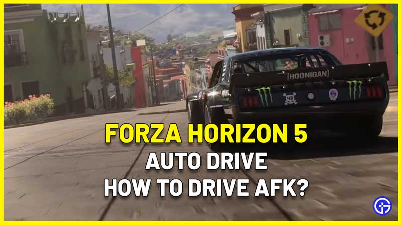 Forza Horizon 5 Auto Drive How To Grind Races AFK