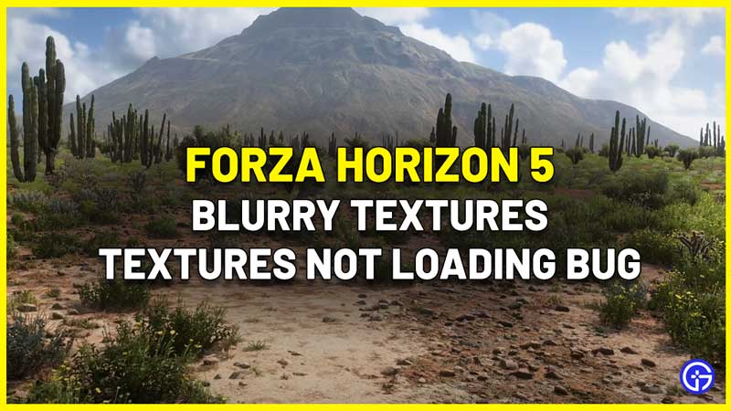 Forza Horizon 5 Textures Are Blurry Or Not Loading Bug Fix