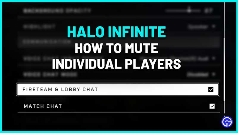 halo infinite mute individual players