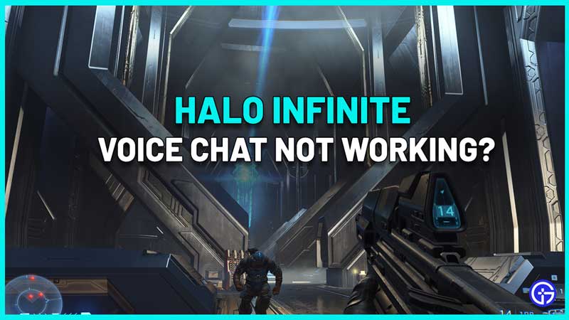 Halo Infinite Voice Chat Not Working Bug Fix