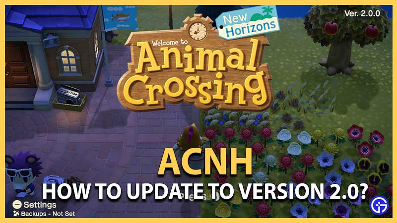 How to Update ACNH to 2.0