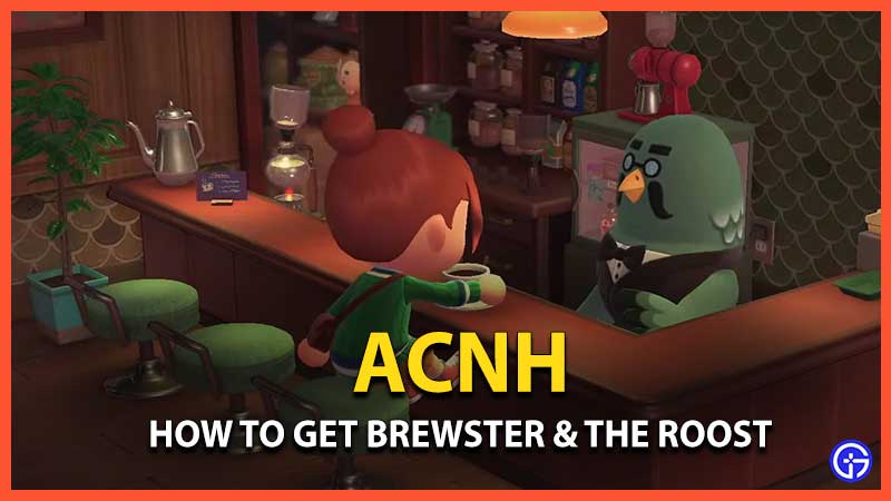 acnh brewster the roost how to find