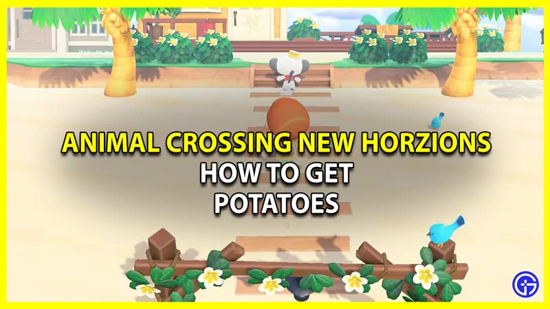 acnh how to grow potatoes