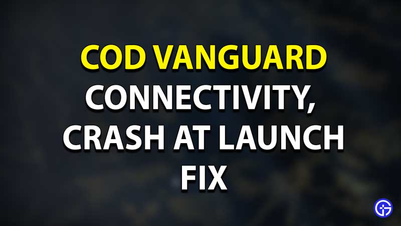 COD Vanguard Crash Fix Guide