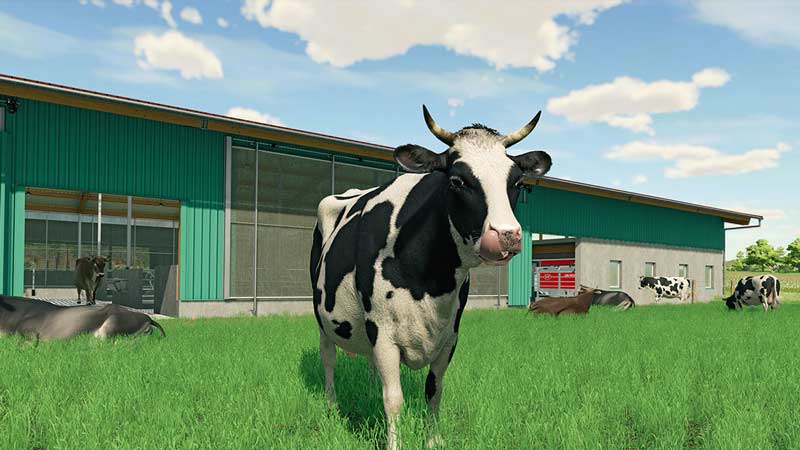 play co-op with friends in farming simulator 22