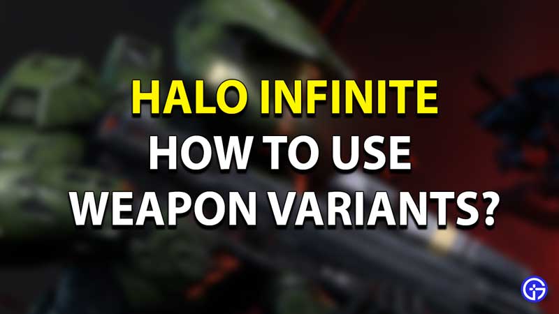 Halo Infinite Weapon Variant