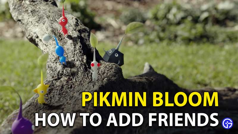 Pikmin Bloom How To Add Friends: Add Players Using Code