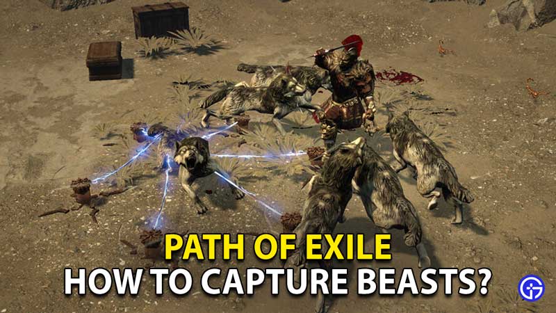 how-to-capture-beasts-in-path-of-exile-poe