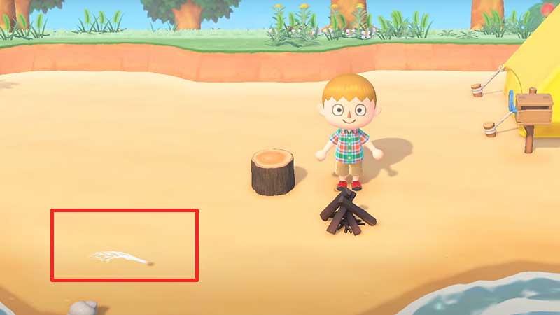 how to find manila clams animal crossing new horizons
