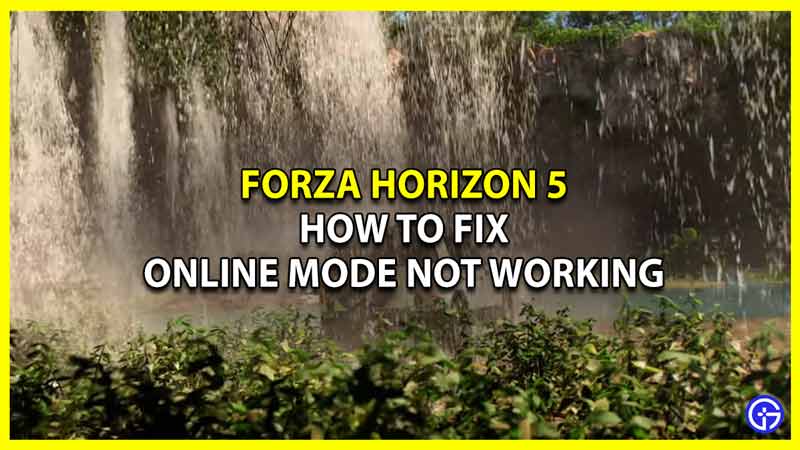 forza horizon 5 online mode not working fix