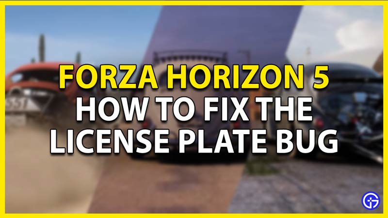 how to fix the license plate bug in fh5