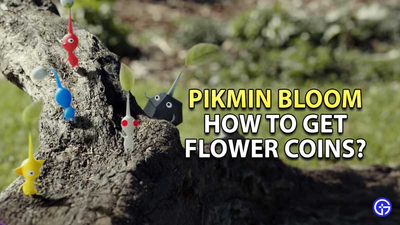 how-to-get-flower-coins-in-pikmin-bloom