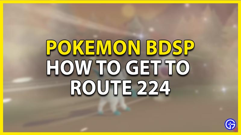 how to get to route 224c in pokemon bdsp