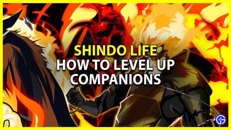 Shindo Life: How To Level Up Companions