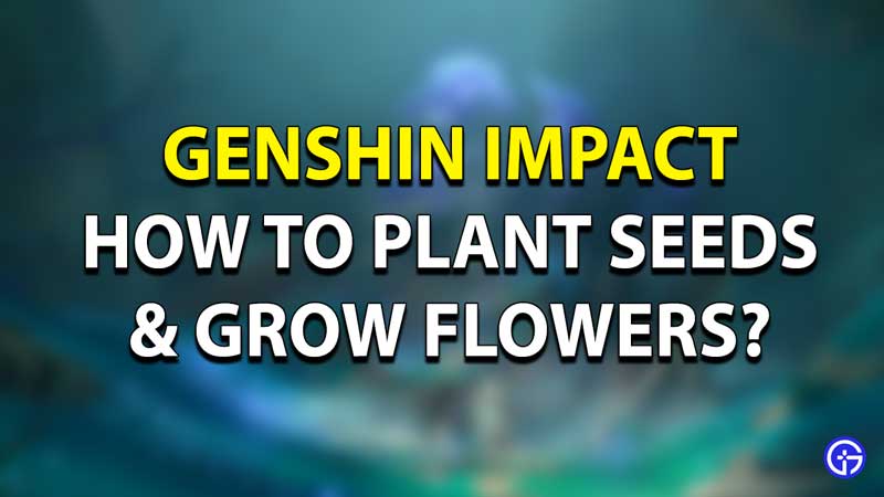 Genshin Impact Flowering Guide