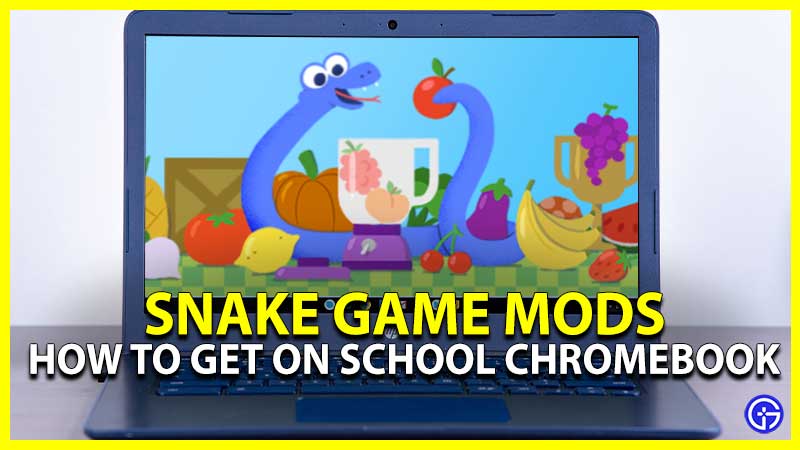 How To Get Snake Mods On School Chromebook