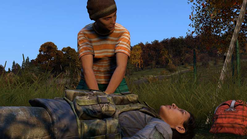 How to Fix An Unexpected Authentication Error in Dayz