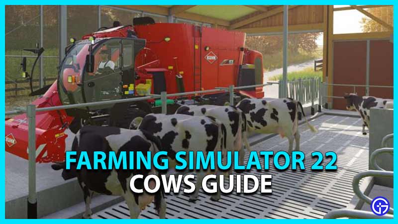FS 22 How to buy, feed and earn profits Cows
