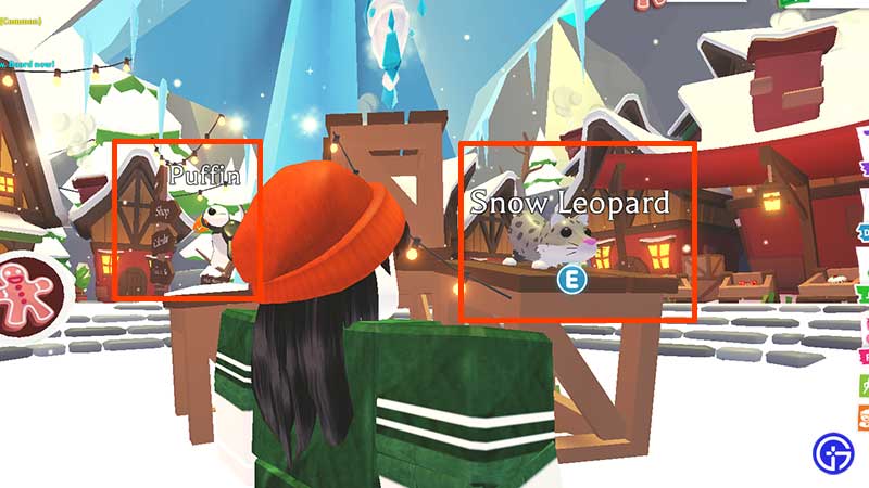 adoptmewinterupdate