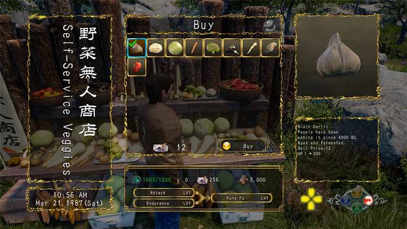 buying food items for healing