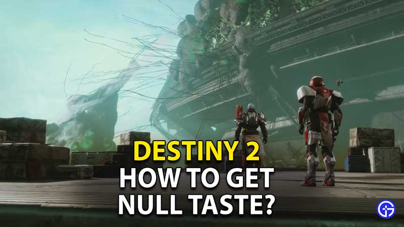 destiny-2-how-to-get-null-taste
