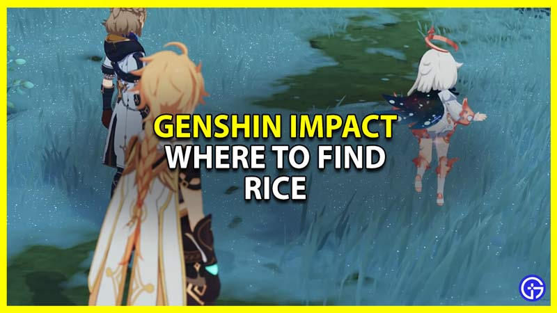 genshin impact where to find rice and map location