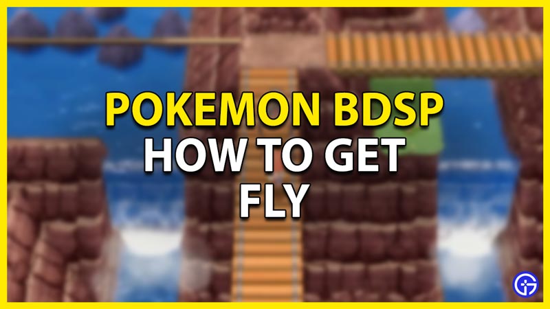 how to get fly in pokemon bdsp