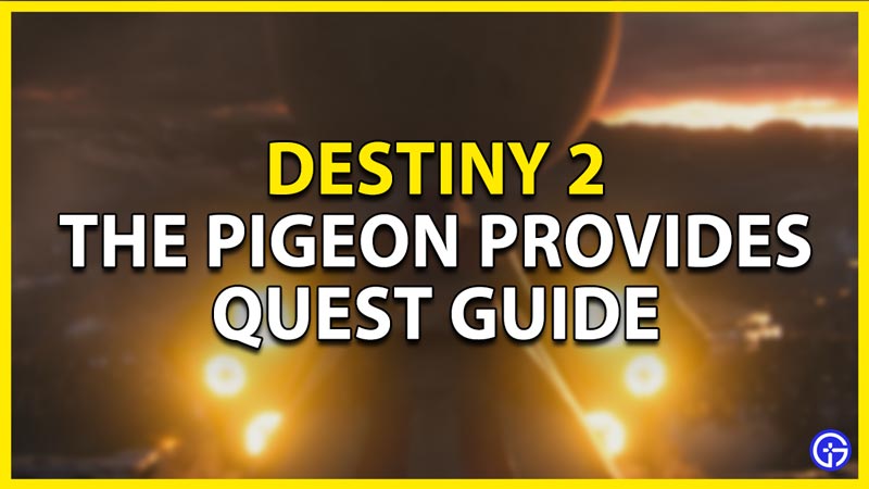 the pigeon provides in destiny 2