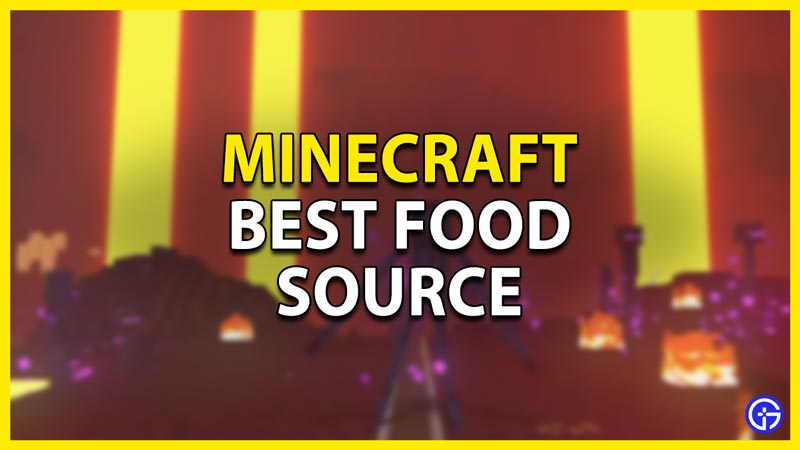 what is the best food source in minecraft