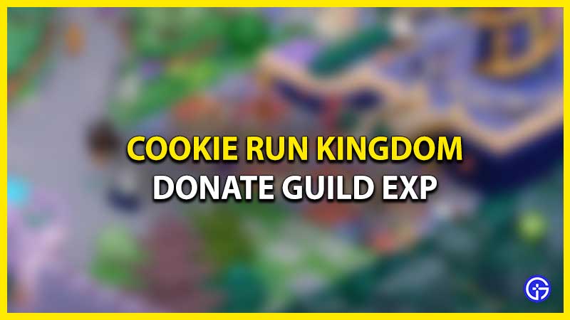 How To Donate Guild Exp In Cookie Run Kingdom