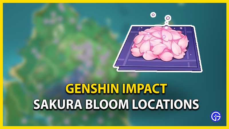 How To Get Sakura Bloom Genshin Impact