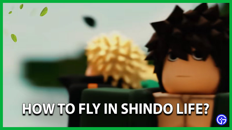 how to fly in shindo life