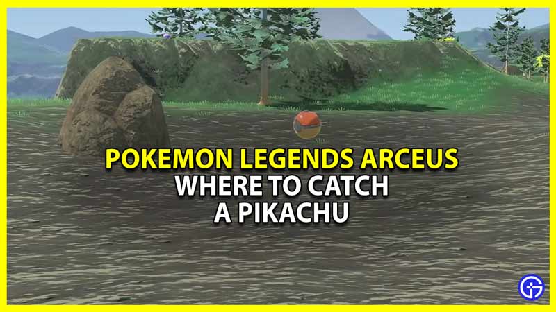 pokemon legends arceus find and catch pikachu