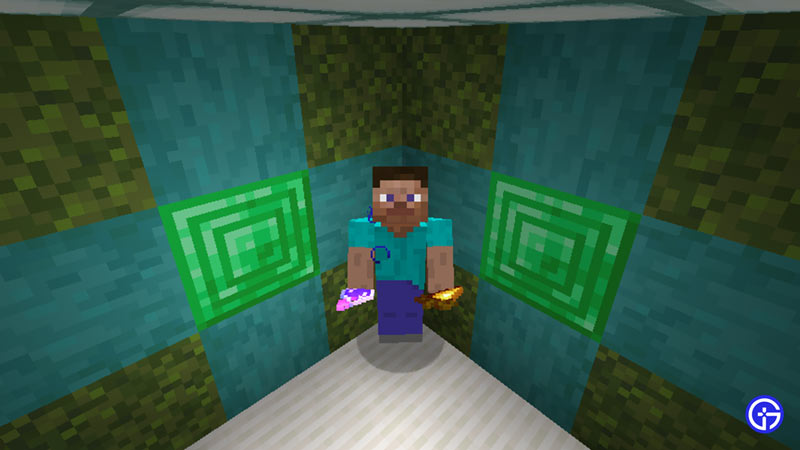 potion of night vision effect in minecraft