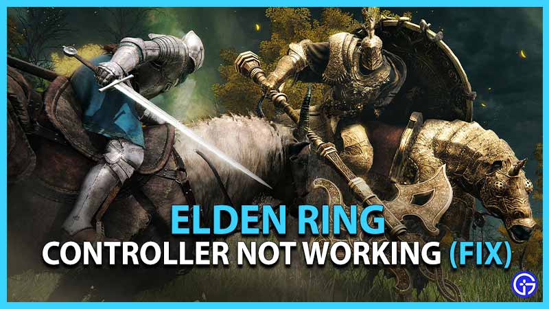Elden Ring Controller Not Working Fix