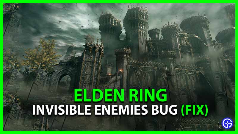Elden Ring Invisible Enemies Bug Fix