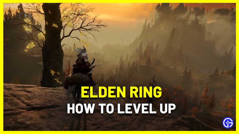 How To Level Up In Elden Ring