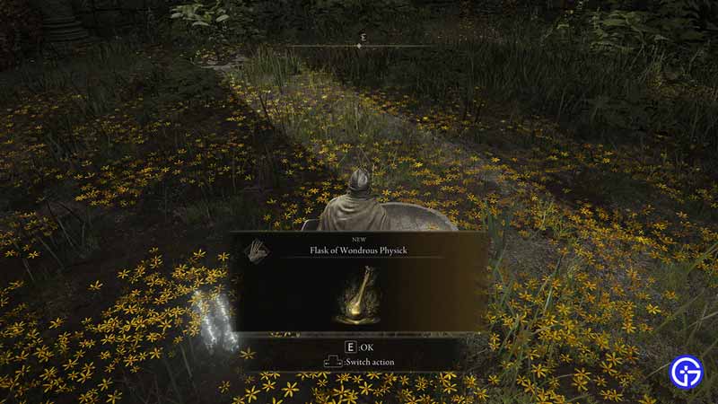 flask of wondrous physick in elden ring